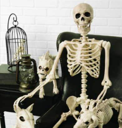 Skeleton decorations from Halloween Costumes on display