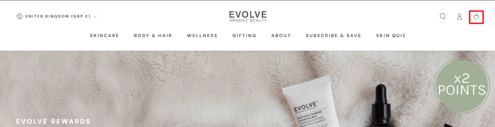 The Evolve Beauty website and the different shopping categories with a red box highlighting the shopping basket