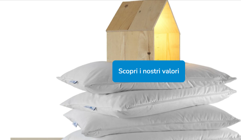 cuscini da poter comprare a basso prezzo con un codice sconto DaunenStep