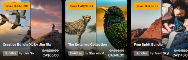 Luminar (Skylum) bundles displayed on a black backround