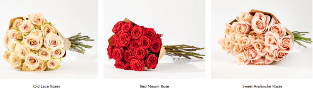 Different roses to buy with our discounts