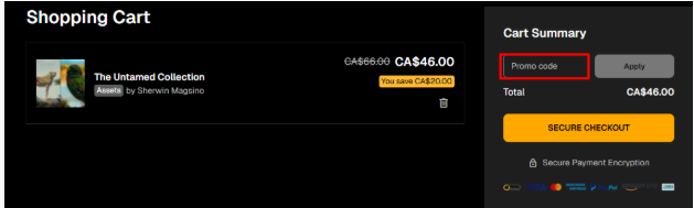 A box where you enter your Luminar (Skylum) voucher code to redeem it