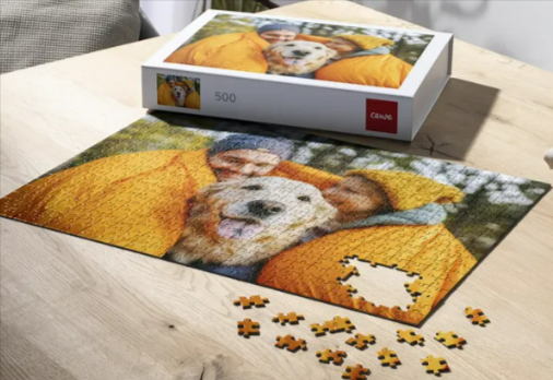 A CEWE puzzle of a couple wearing yellow jackets and a dog