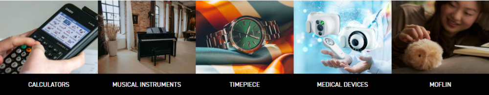 The categories of products that Casio offers.