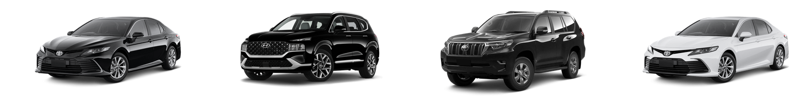 image showing the various cars you can rent from Avis