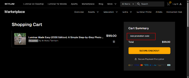 Luminar (Skylum) checkout page with a highlighted discount code box