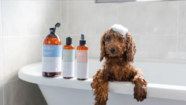 A furry dog in a bathing tub with water and shampoo