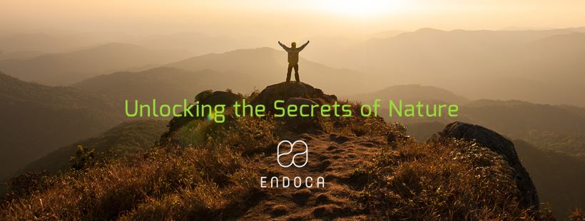 About Endoca Homepage