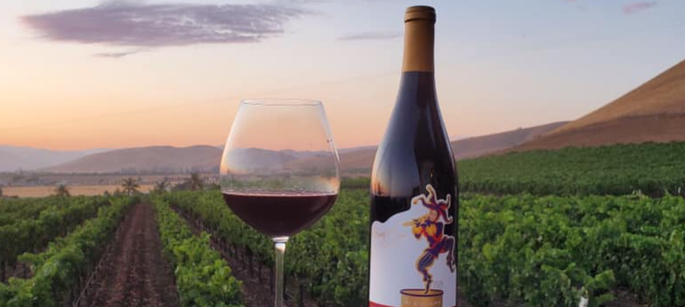 About Idyll Time Wines Homepage