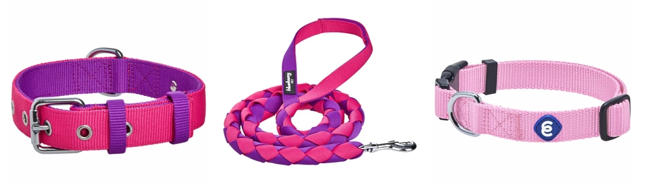 About Blueberry Pet Homepage