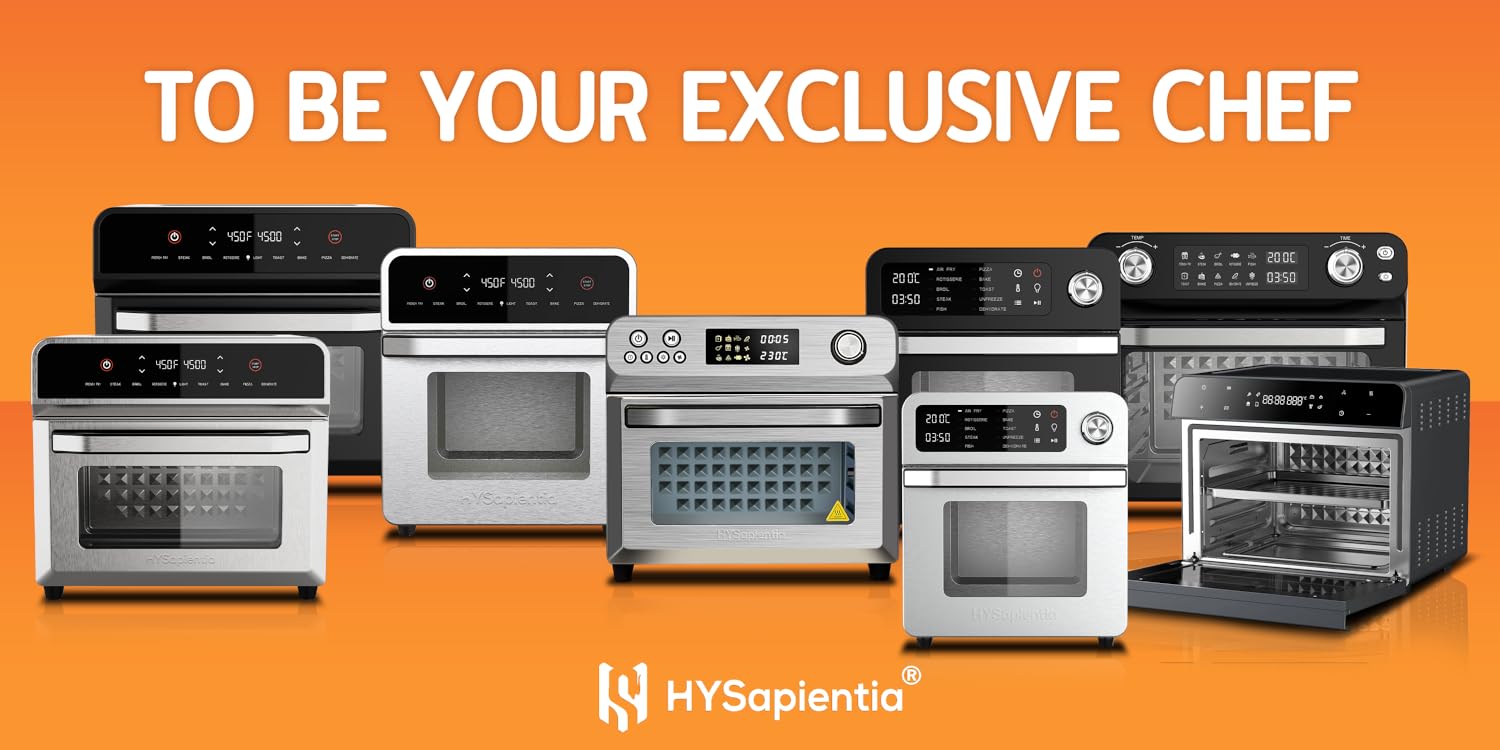 About HYSapientia