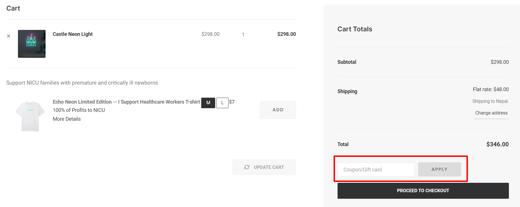 How do I use my Echo Neon coupon code?