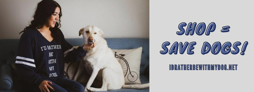 About I’d Rather Be With My Dog Homepage