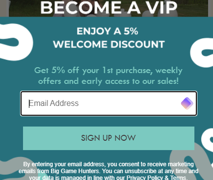 Big Game Hunters' newsletter registration