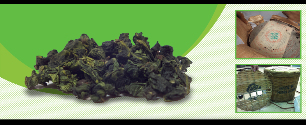 About Generation Tea Homepage
