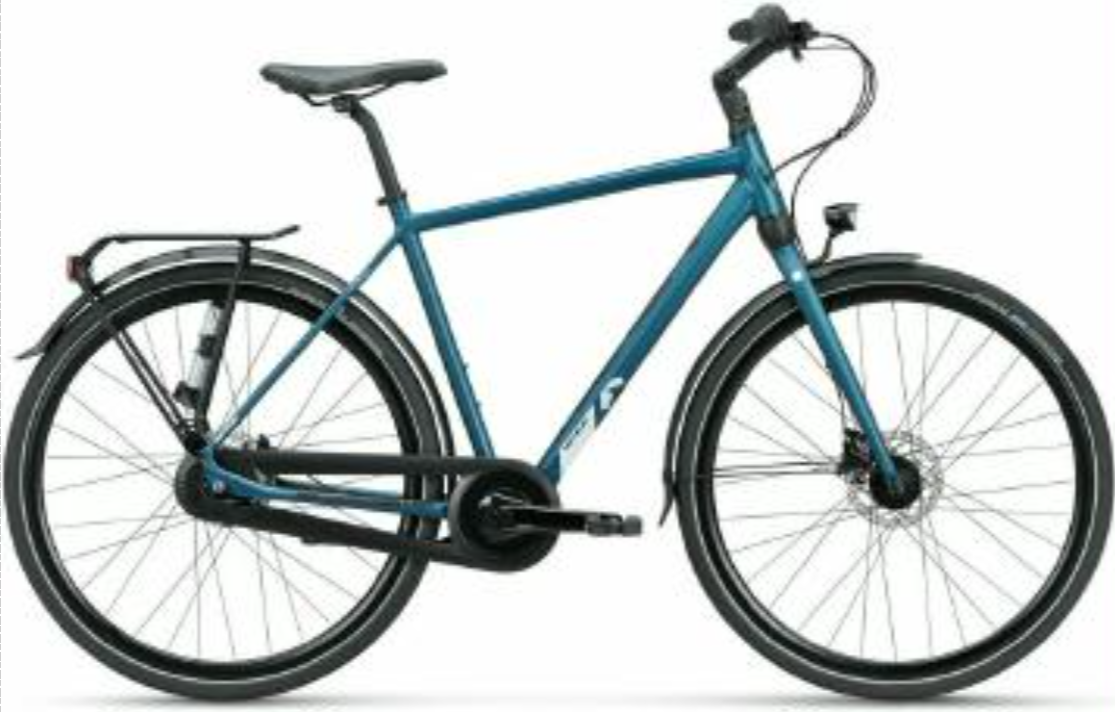 RaddiBikePic