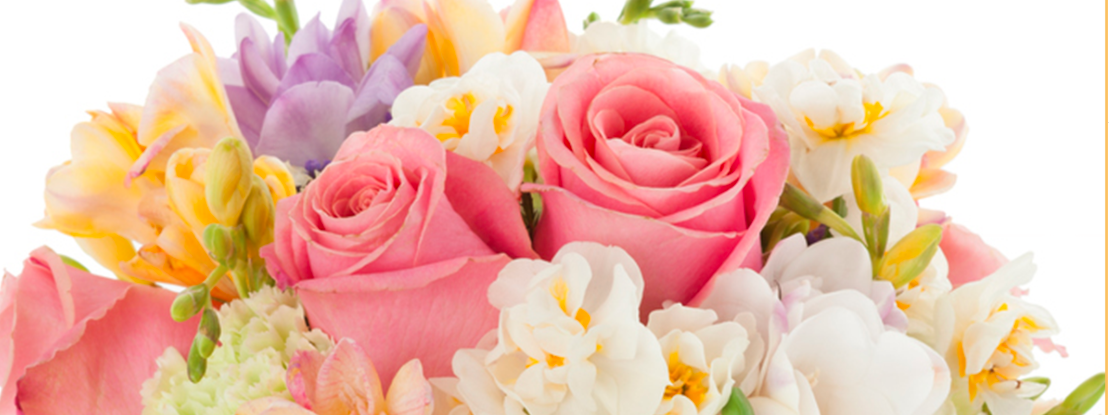 About Global Rose Homepage