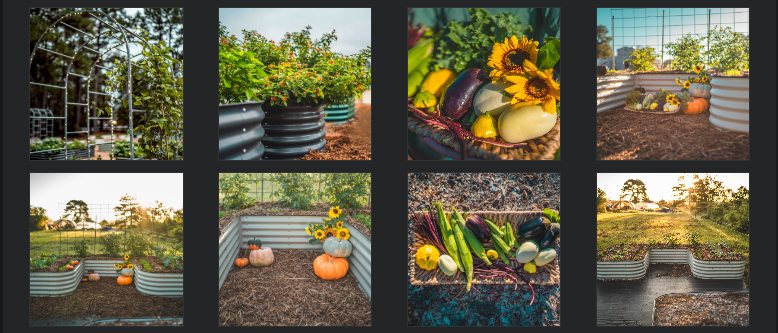 About Vego Garden