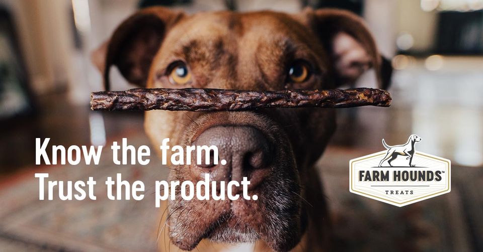 About Farm Hounds Homepage