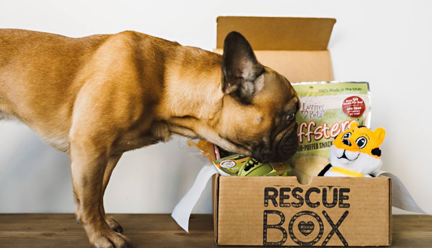 About RescueBox Homepage