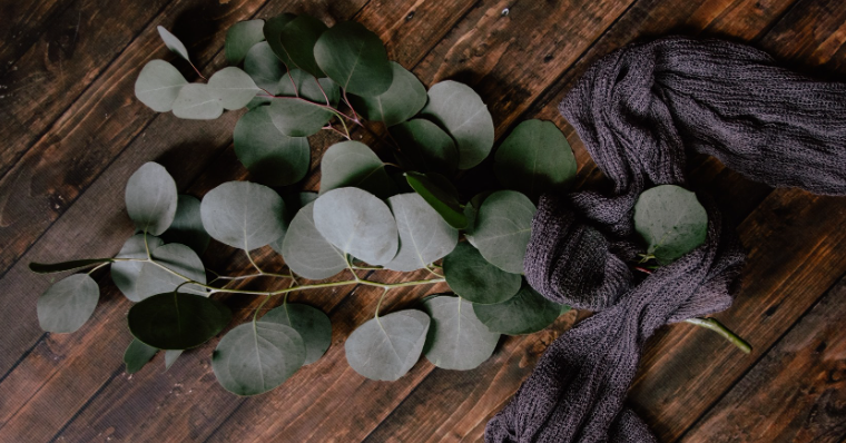 About Self-Care Shower Homepage