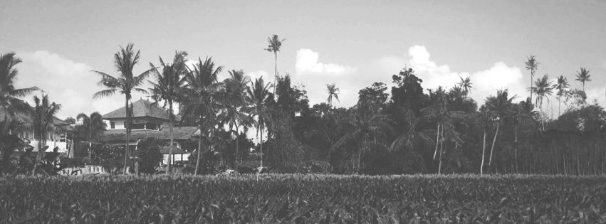About SurfShop Homepage