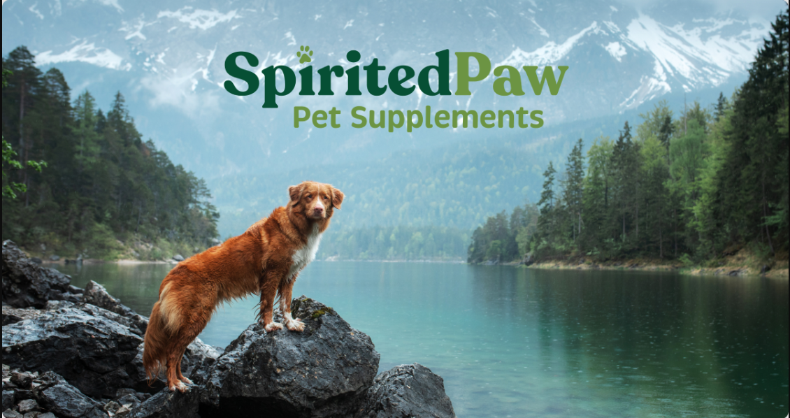 About Spirited Paw Homepage
