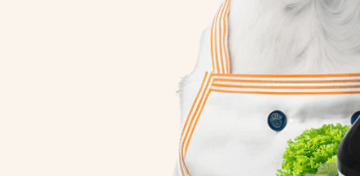 About ChefPaw Homepage