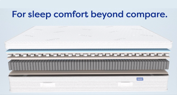 A picture that show the springs that are use to make one of the best beds from Ecosa