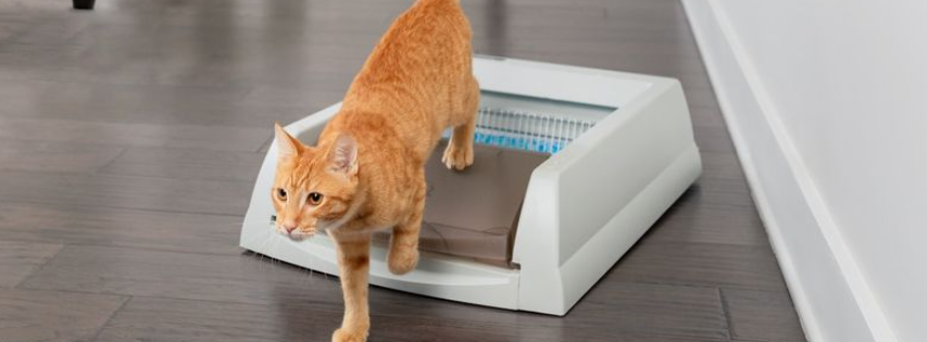 About Petsafe Homepage