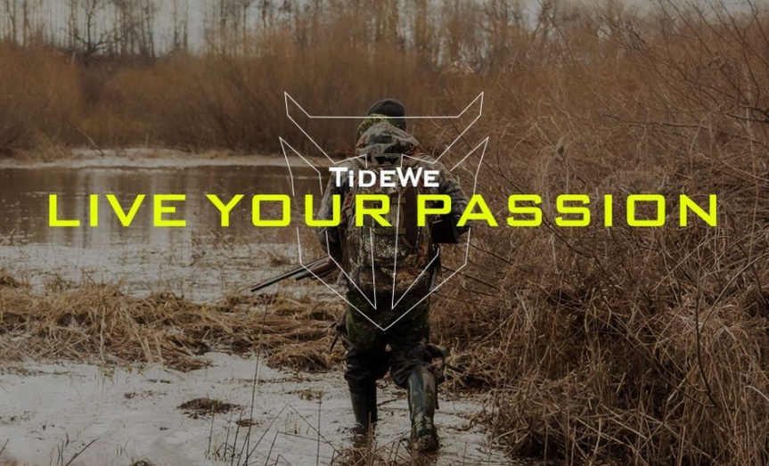 About TideWe Homepage