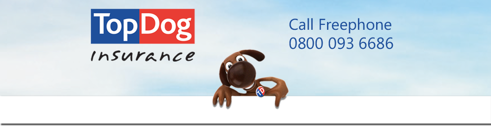 About Top dog insurance Homepage