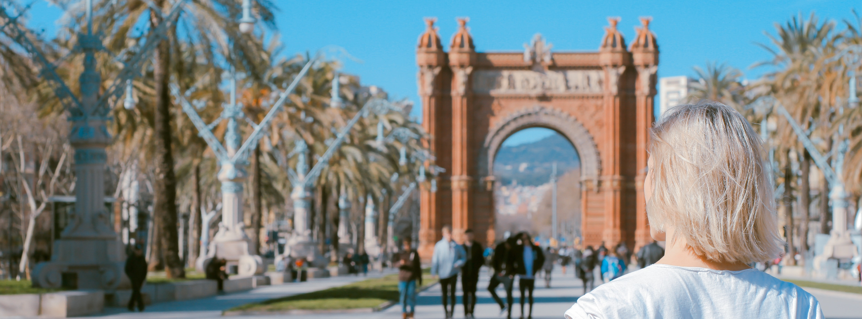 About ScholarTrip