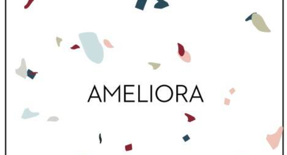 About AMELIORA Homepage