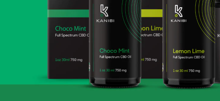 About KANIBI Homepage