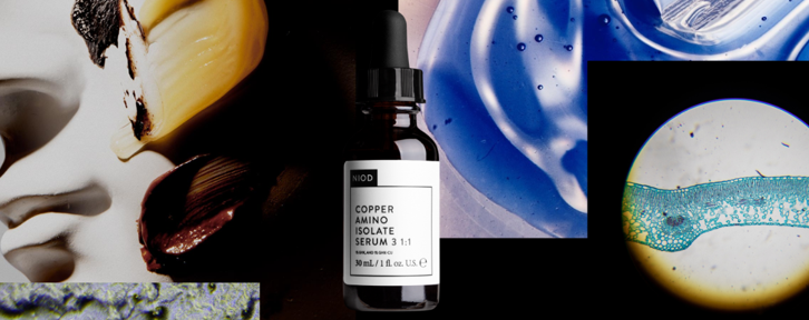 About NIOD Homepage