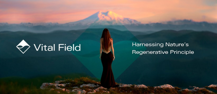About Vitalfield Homepage