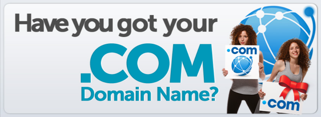 Register 365 Domain Names