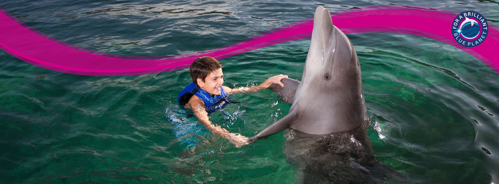 About Delphinus