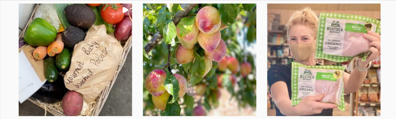 Paddock to Pantry Sustainability
