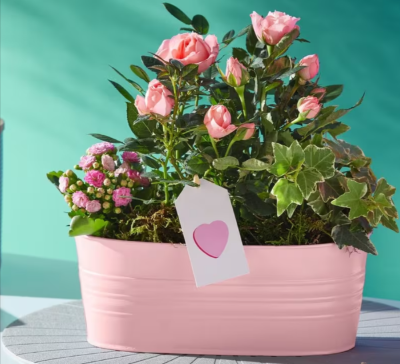 A floral arrangement with pink roses in a light pink metal planter