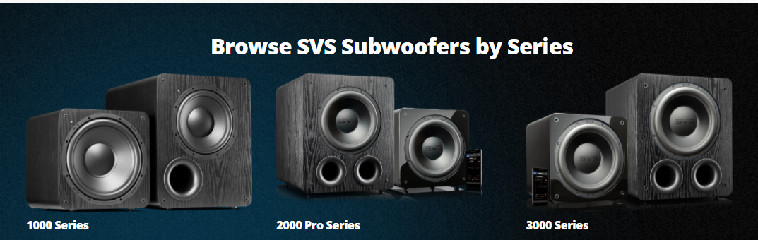 About SVS Homepage