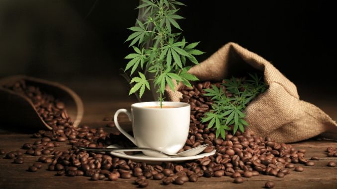 About Ott Coffee
