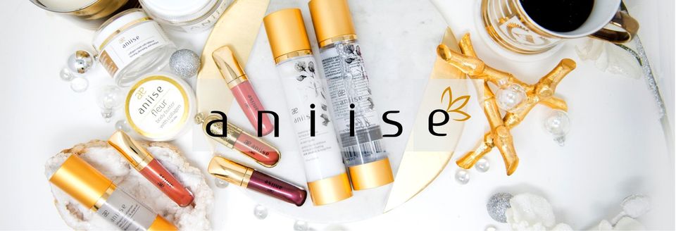 About Aniise Homepage