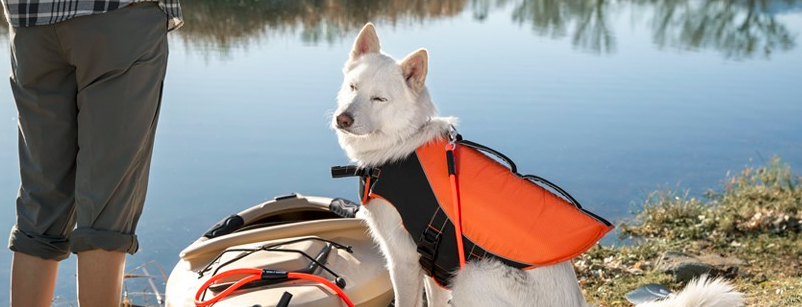 About PetSmart Homepage
