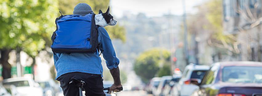 About Timbuk2 Homepage