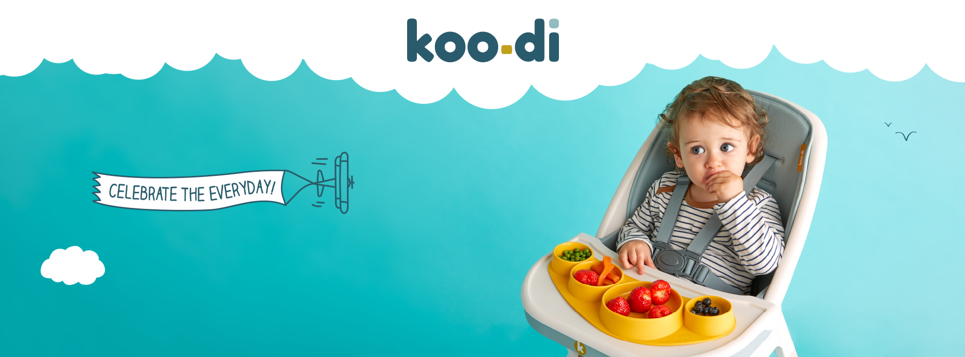 About Koo-di Homepage