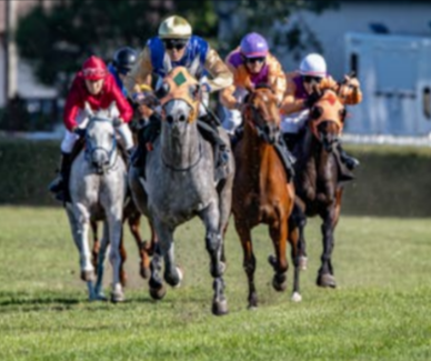Horses racing