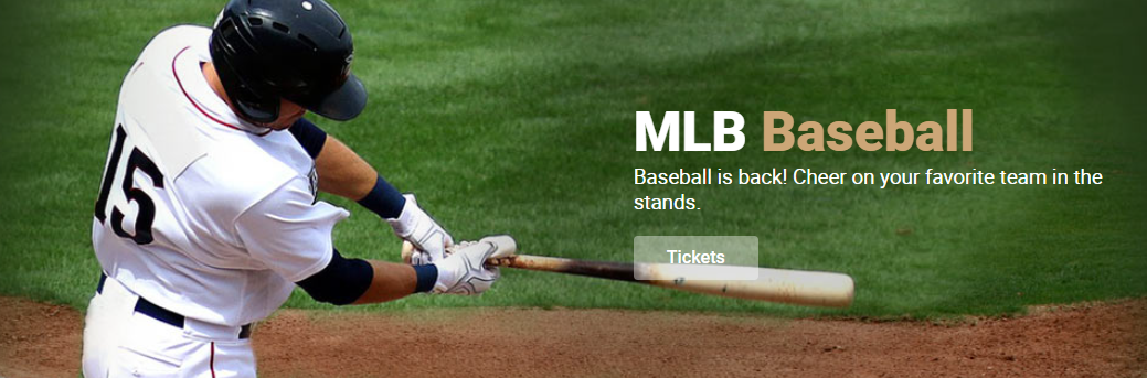 About Vivid Seats Homepage