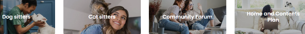 a collage of a lady playing with a dog, a lady playing with a cat, two women sitting on the couch, and a lady sitting on the couch with a laptop.